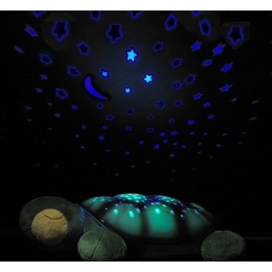 Rùa chiếu sao phát nhạc