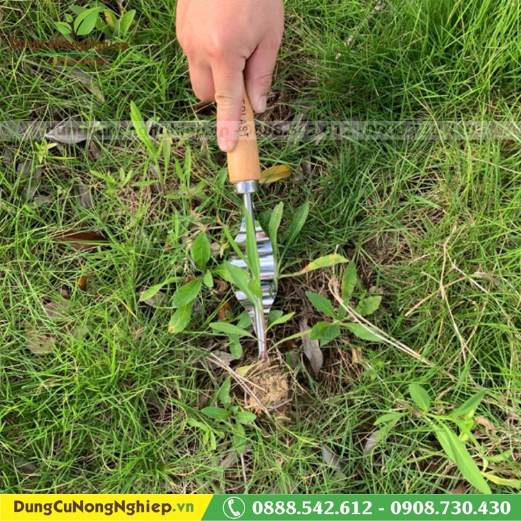 Dụng cụ nhổ cỏ 32cm cán gỗ lưỡi inox bứng được hết rể cỏ sạch sẽ