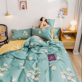 Cotton poly cúc họa mi xanh