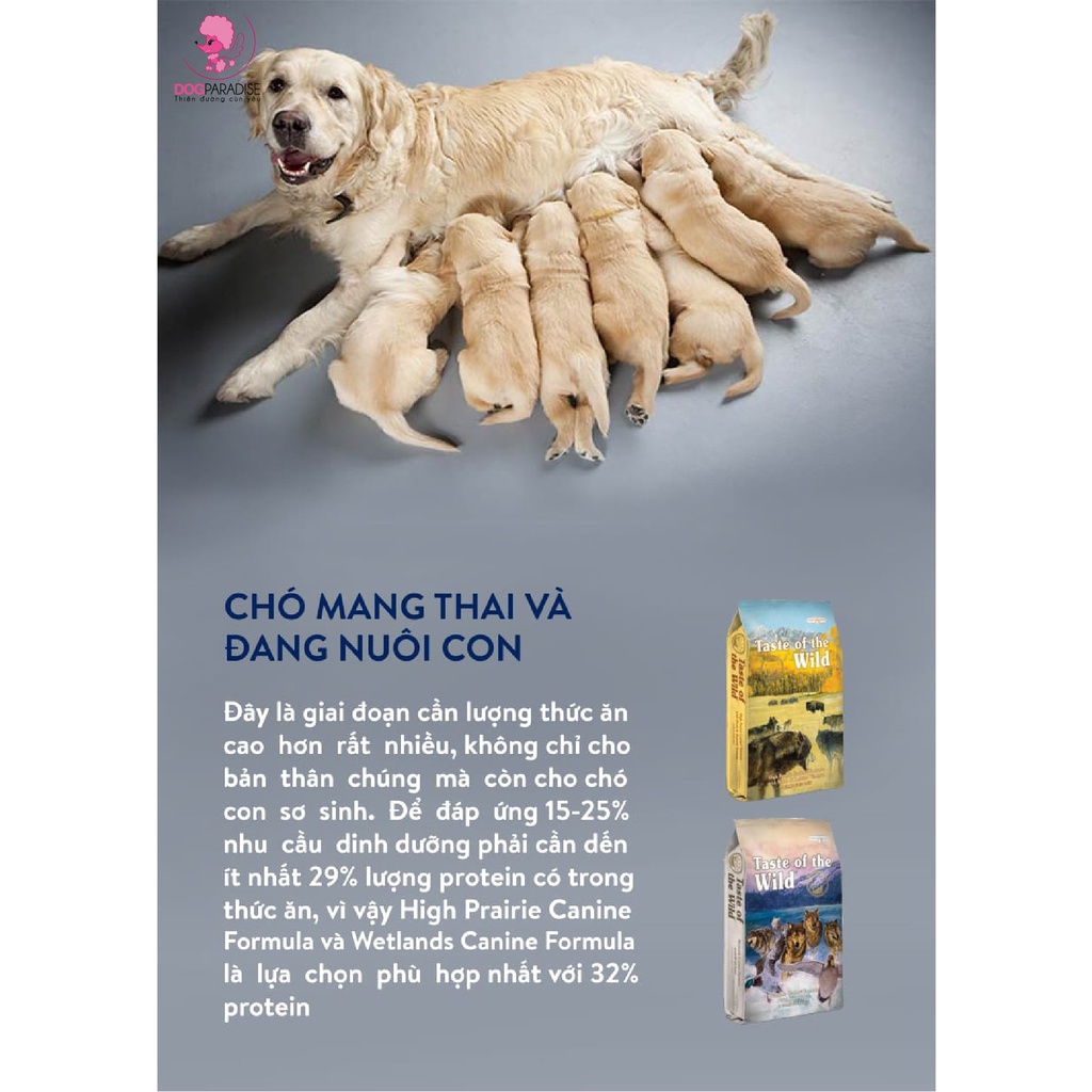Thức ăn hạt Taste of the wild cho chó vị bò rừng và nai nướng 500g - Dog Paradise