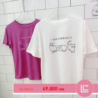 ÁO THUN FREESIZE HÌNH 3 CON MÈO - A1737