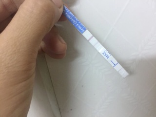 Que thử thai Quickstick Pharmatech USA (nhập khẩu)
