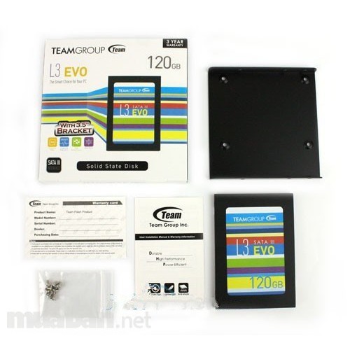 Ổ cứng SSD Team Group L3 Evo 120GB - Hàng Chính Hãng | BigBuy360 - bigbuy360.vn