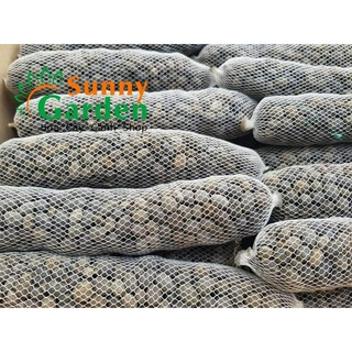 Phân dê tan chậm bón cho hoa lan +tặng 02 cây nhót ngọt