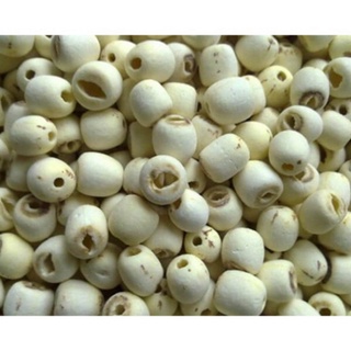 1kg hạt sen khô Bắc Bao thơm ngon từng hạt