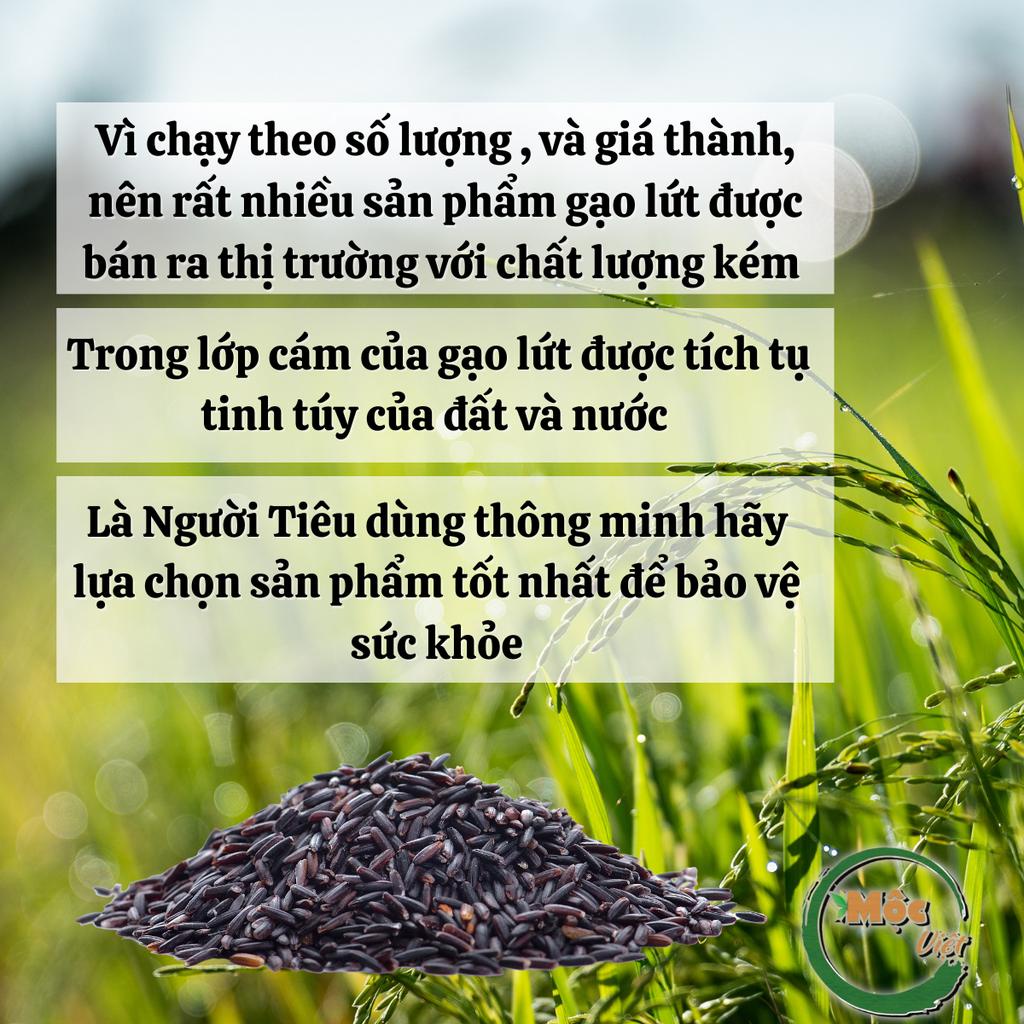 Gạo lứt đen hỗ trợ giảm cân, combo 2kg - Chính hãng Mộc Việt GLĐ-02