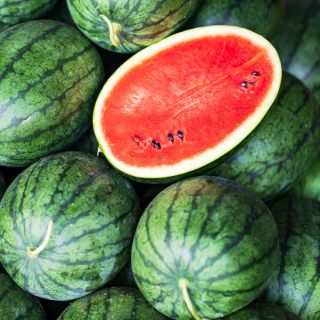 Hạt giống dưa hấu