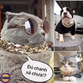 Vòng cổ mạ vàng cho chó mèo