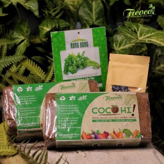 COMBO TRỒNG RAU HOA TRONG THÙNG XỐP