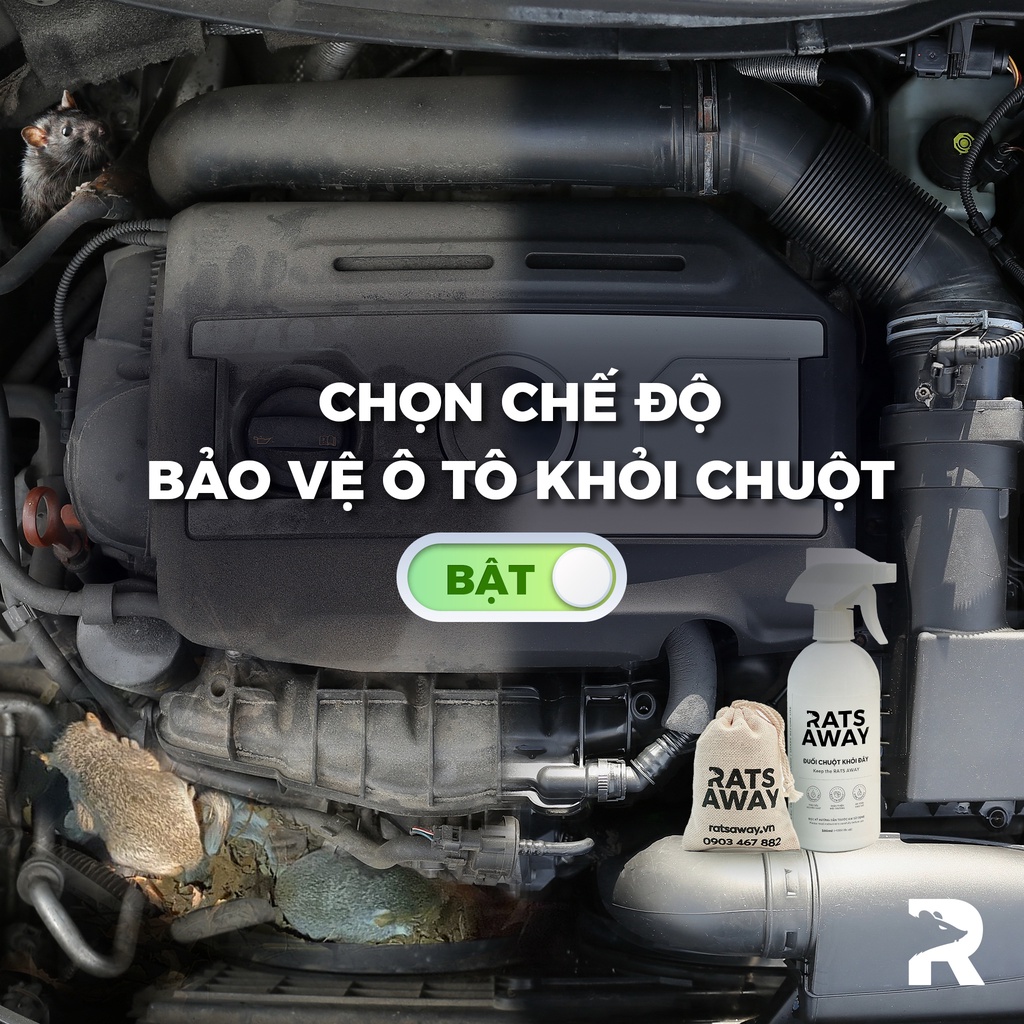 Túi treo chống chuột cho ô tô RATS AWAY