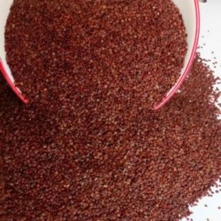 Hạt đình lịch / Hạt ngũ hoa