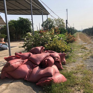 Phân Hữu Cơ PG201VS Vi Sinh, Phân Gà Ủ Hoai (1kg)