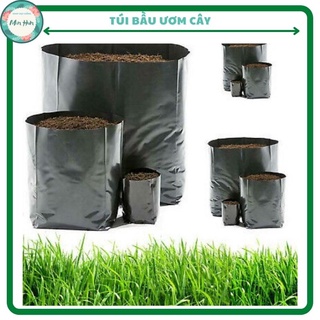 Túi bầu ươm cây,kích thước tùy chọn