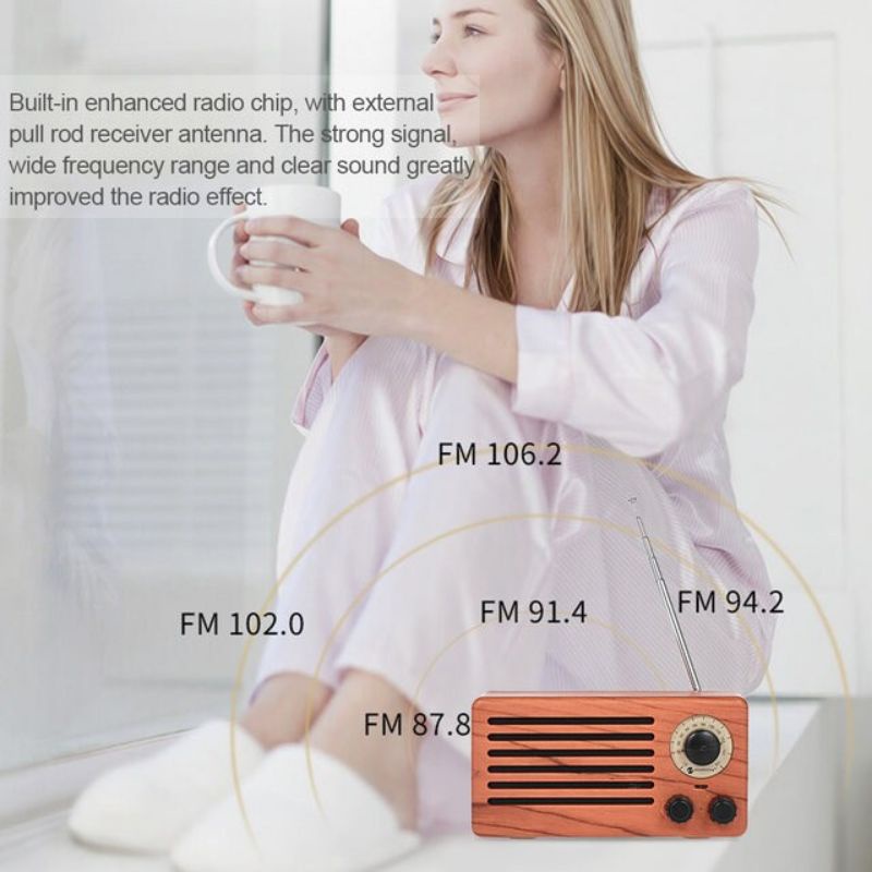 Radio màu gỗ NR-3013
