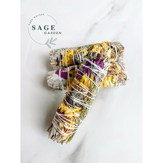 XÔ THƠM TÀI LỘC (Lucky Money Sage)_SAGE GARDEN