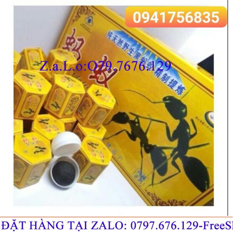 Kiến càng đen tây tạng Cao Cấp Chính Hãng