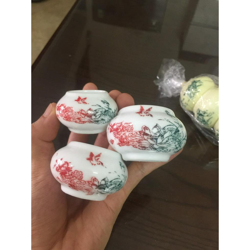 CÓNG SỨ CHIM CHÀO MÀO, Đã kèm tai, rẻ, đẹp