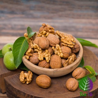 500gram hạt óc chó mỹ nguyên vỏ sấy khô loại 1 tặng dụng cụ tách hạt walnut hạt sấy khô ăn vặt