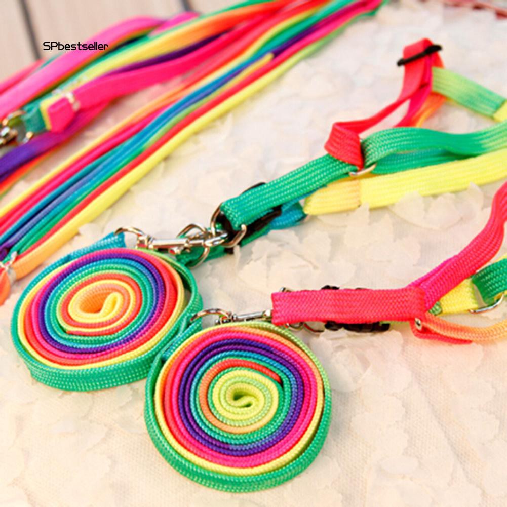 Dây đeo cổ nhiều màu sắc kèm dây dắt cho chó cưng