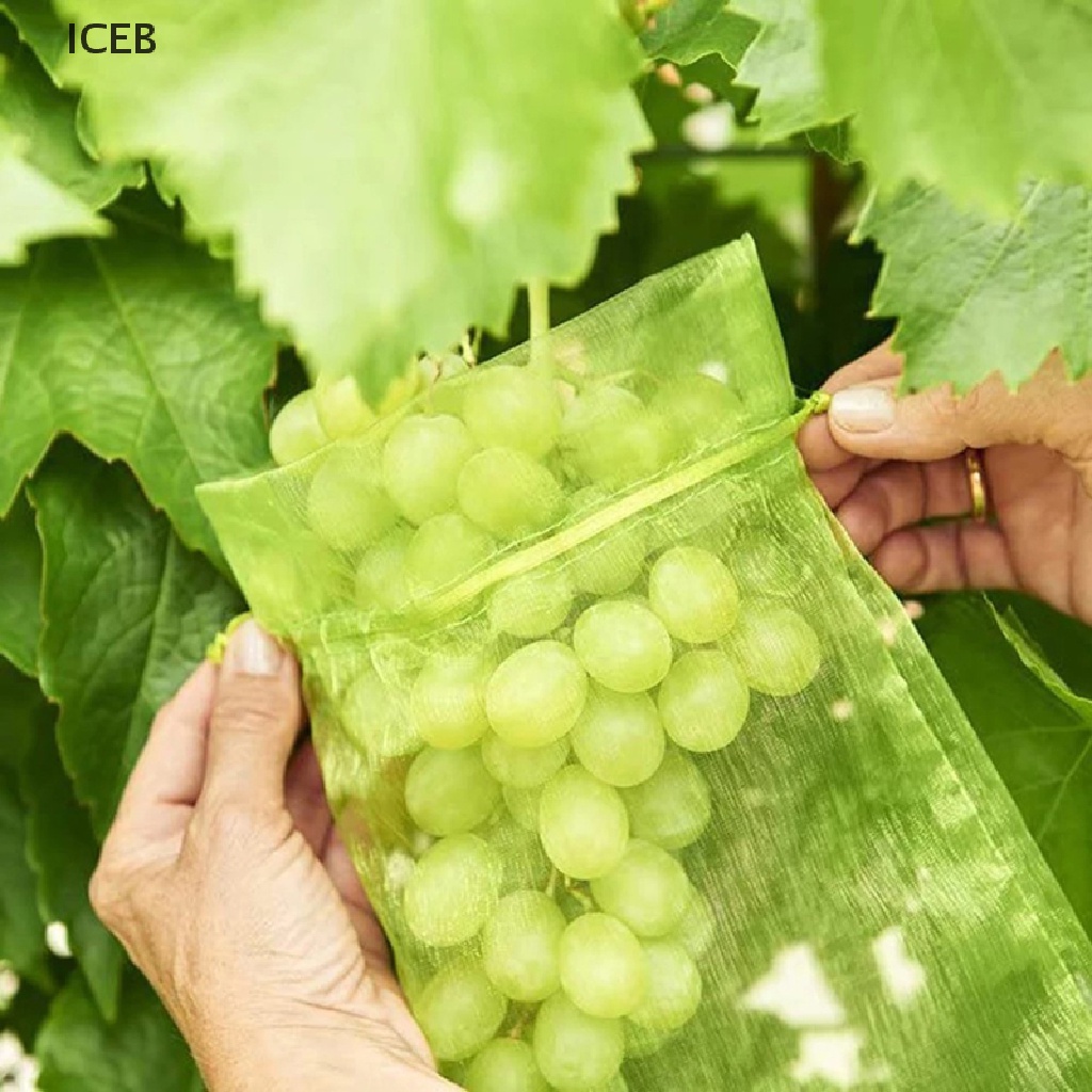 Ic 50 Túi Lưới Dây Rút Bảo Vệ Trái Cây Chống Côn Trùng Phá Hoại Vườn Dâu Tây Túi Nho my