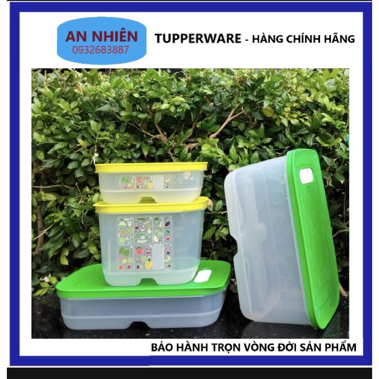 Bộ Trữ Mát Vent 4 Hộp Tupperware