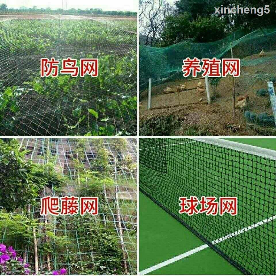 Fh Lưới Đánh Trứng Phục Vụ Sân Vườn Chuyên Dụng