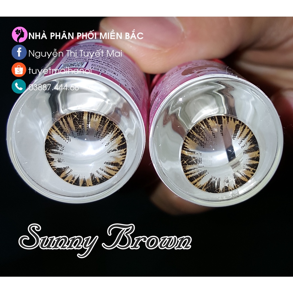 Kính Áp Tròng Màu Nâu Sunny Brown 14.2mm 0 Độ - Lens Hàn Quốc Chính Hãng Vassen Sexy Me