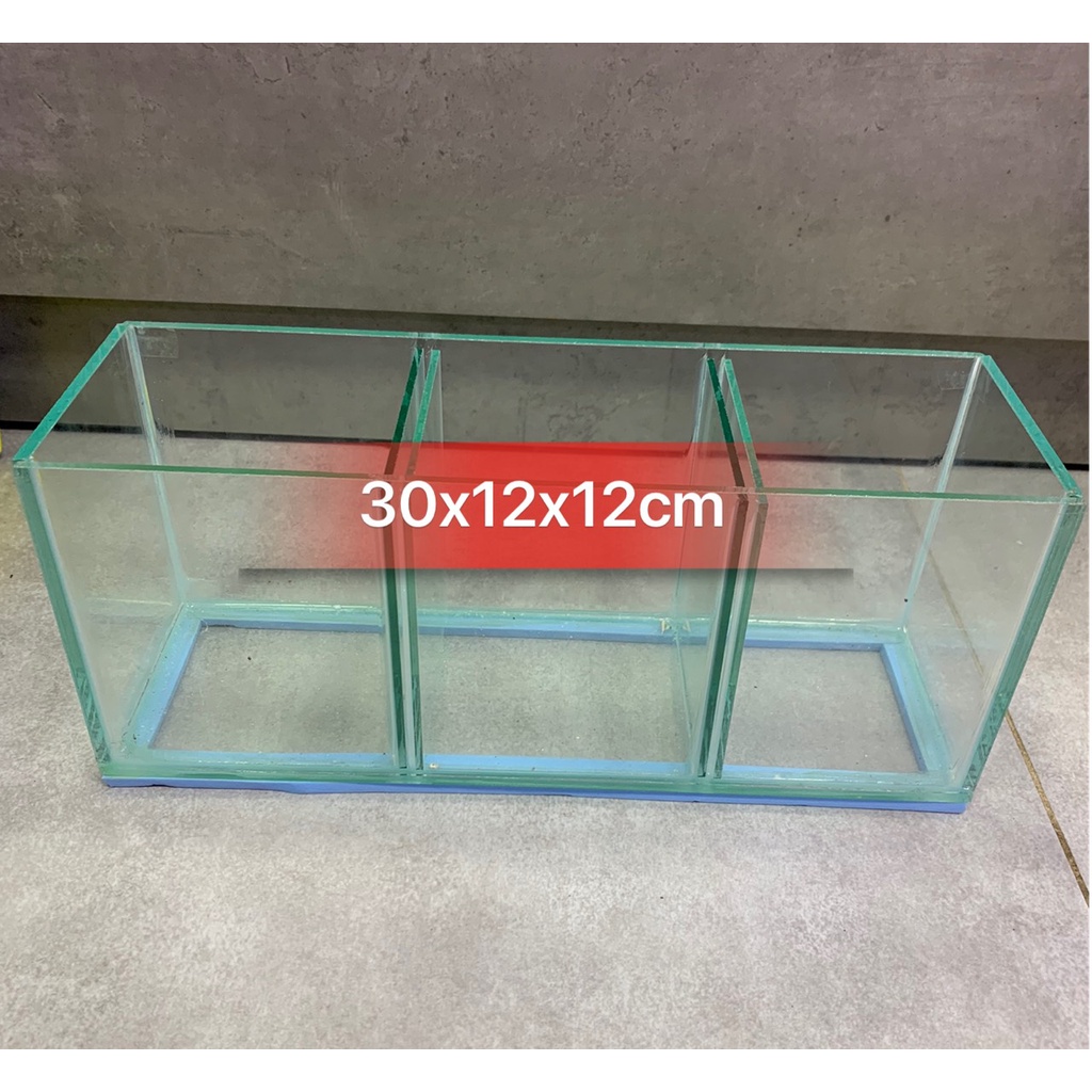 Hồ nuôi cá betta 1 ngăn, 2 ngăn, 3 ngăn siêu tiện lợi