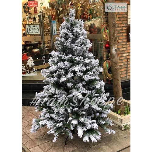 [LÁ DÀY ĐẸP - LOẠI 1] Cây thông Noel cao 240-300cm X-TREE-17