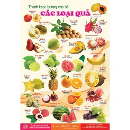 Bộ tranh treo tường, bộ tranh HỌC 14 CHỦ ĐỀ như động vật, bảng chữ cái, nghề nghiệp, giao thông cho bé từ 0 - 6 tuổi
