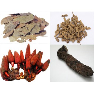 Combo 1kg đủ vị: Sâm cau, nấm ngọc cẩu, ba kích, nhục thung dung, dâm dương hoắc, kỷ tử