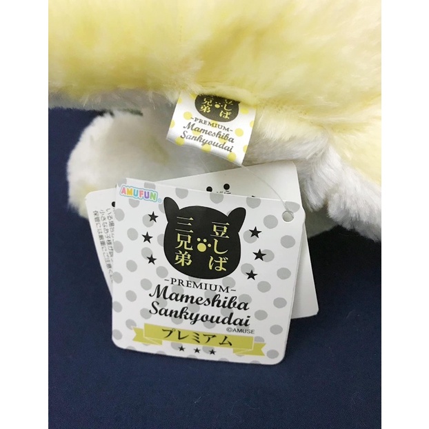 Toreba - Cún bông Mameshiba Phiên Bản Premium Amuse