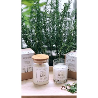 Nến Candle Cup