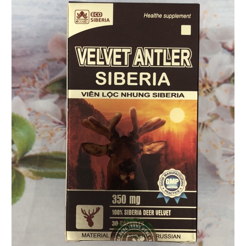 Viên Lôc Nhung siberia