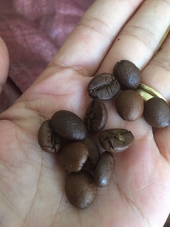 Cafe hạt nguyên chất 100%