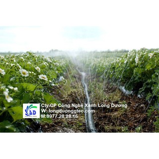 Dây tưới phun mưa Hàn Quốc D42