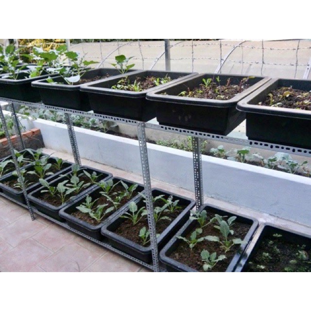 Kệ sắt v lỗ trồng rau thông minh 1,2,3 tầng, 2,6,9 khay trồng rau kích cỡ 67x43x15 cm
