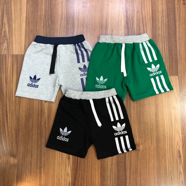 Sỉ quần cotton da cá ri10