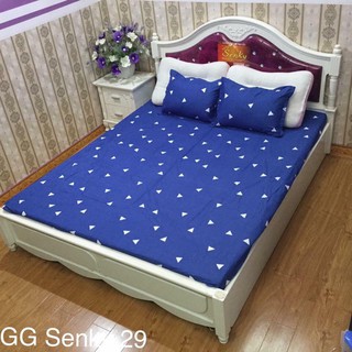Cotton Poly Mềm mịn