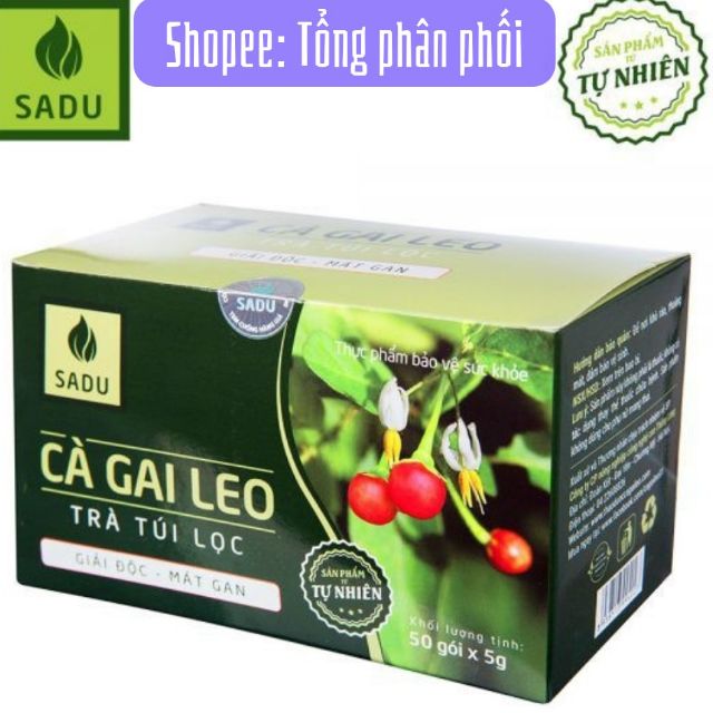 Hộp 250g Trà cà gai leo túi lọc ( hỗ trợ keto, gan)