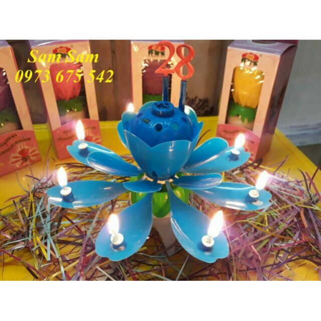 NẾN SINH NHẬT 3D NỞ HOA PHÁT NHẠC CÓ SỐ TUỔI