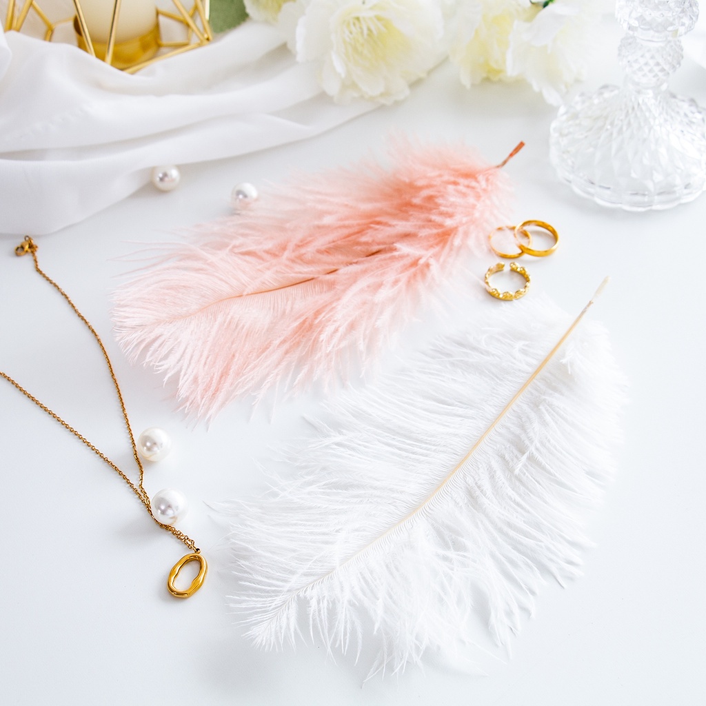 Lông đà điểu dùng trang trí chụp ảnh siêu đẹp tùy chọn số lượng