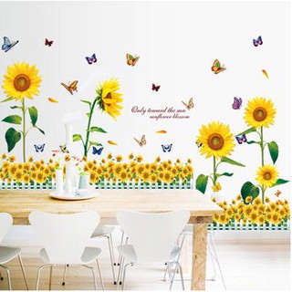 Decal dán tường Combo 2 tranh hoa hướng dương + hàng rào hoa hướng dương