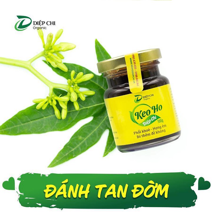 Keo Ho Diệp Chi Lọ 100mg Chính Hãng