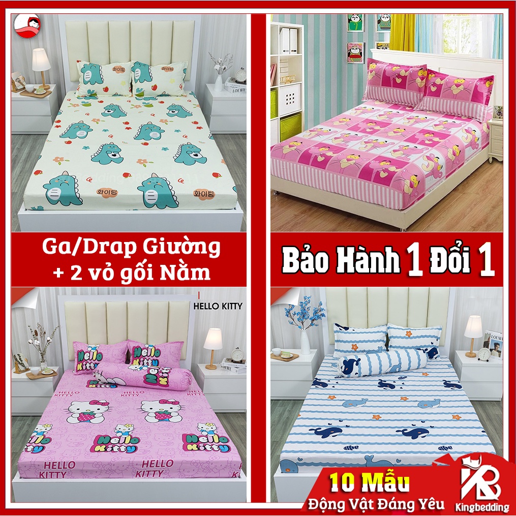 Bộ Ga Giường và 2 Vỏ Gối 💖m2/m4/m6/m8💖 Ga Gối Cotton Poly, Ga Trải Giường - Kingbedding