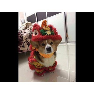 Bộ lân hóa trang cho cún