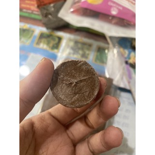 VIÊN NÉN ƯƠM HẠT 60,000/100 viên