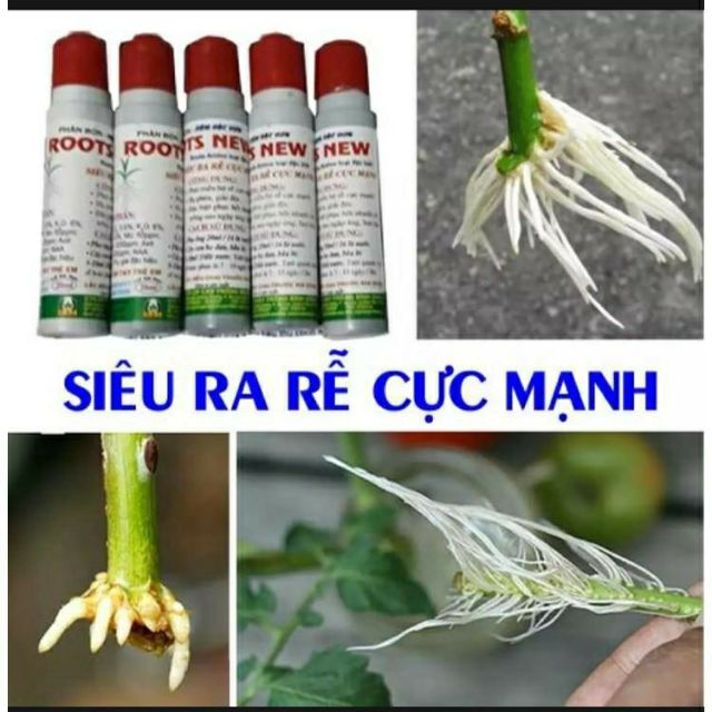 Set 10 lọ Super Root Bimix kiêu ra rễ cực mạnh