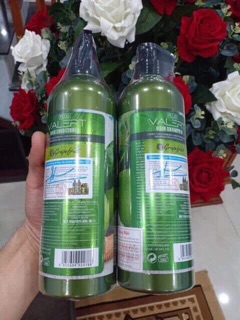 Dầu gội xả hương Bưởi