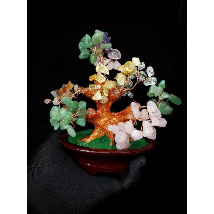 💥 GIÁ CỰC RẺ 💥 Cây đá phong thuỷ Ngũ Sắc